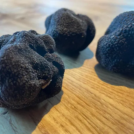 Le Volcan Des Sens, D'hotes De Luxe Et Privatif 4*