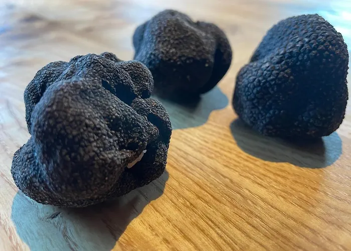 Le Volcan Des Sens, D'hotes De Luxe Et Privatif 4*